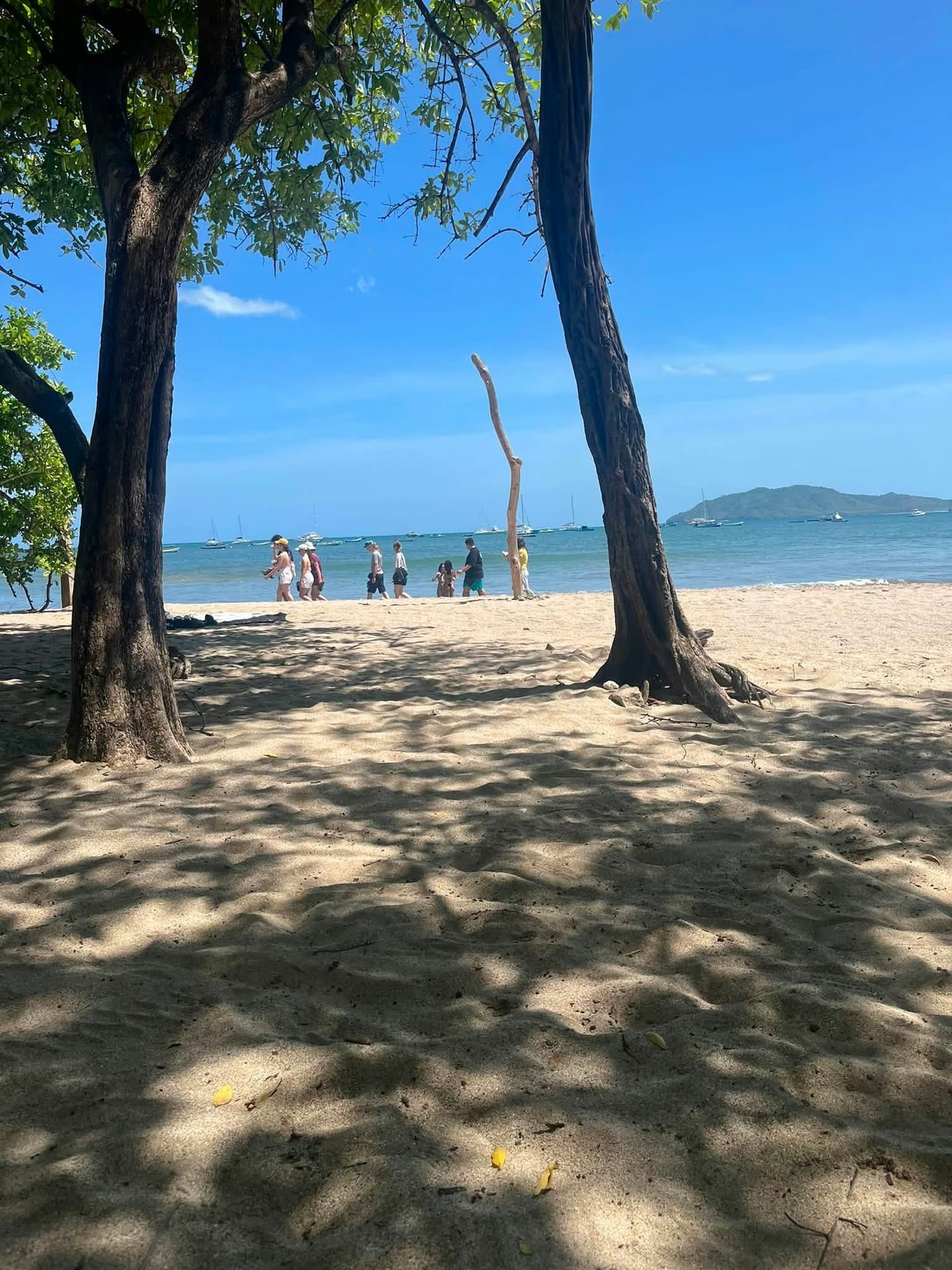 Alquiler de monoambiente semi-amoblado en Tamarindo